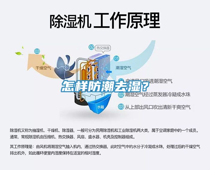 怎样防潮去湿？