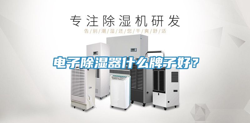 电子除湿器什么牌子好？