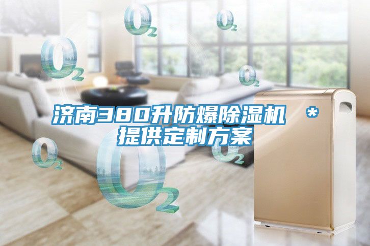 济南380升防爆猫咪成人官网 ＊提供定制方案