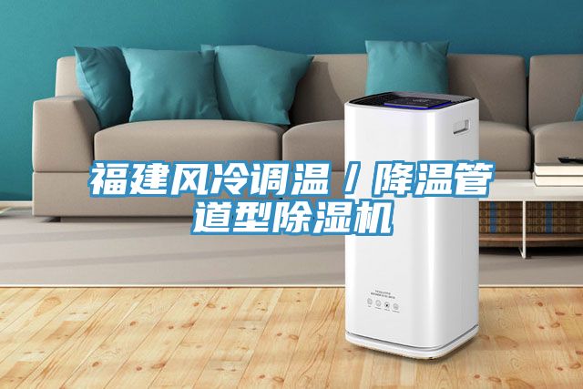 福建风冷调温／降温管道型猫咪成人官网