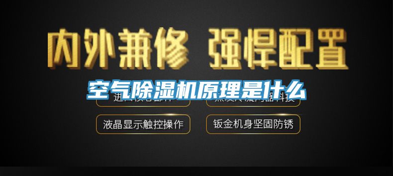 空气猫咪成人官网原理是什么