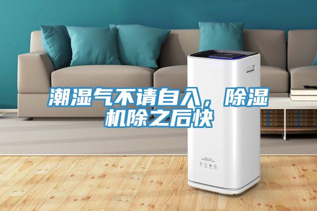 潮湿气不请自入，猫咪成人官网除之后快