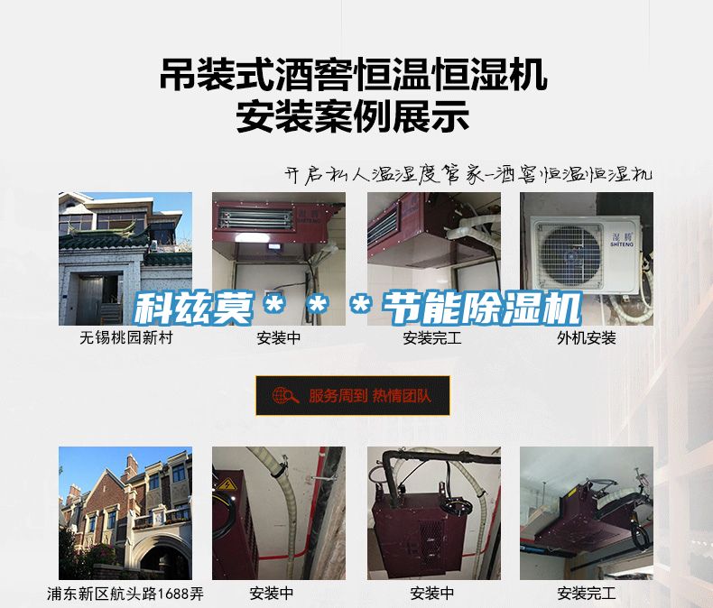 科兹莫＊＊＊节能猫咪成人官网