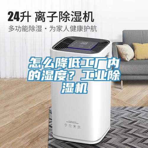 怎么降低工厂内的湿度？工业猫咪成人官网