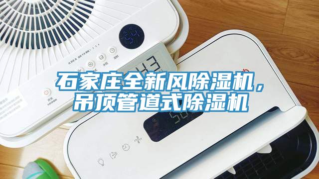 石家庄全新风猫咪成人官网，吊顶管道式猫咪成人官网