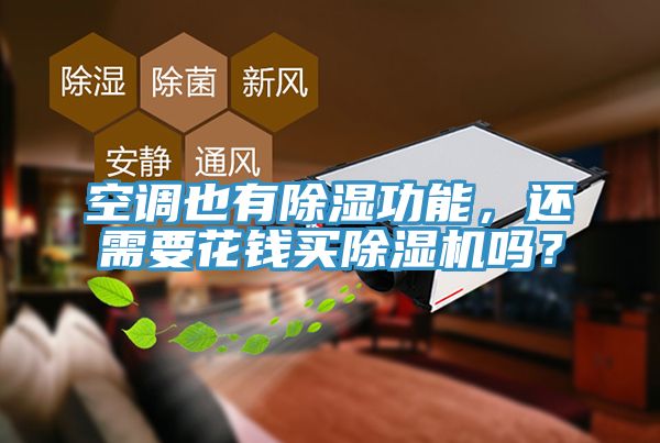空调也有除湿功能，还需要花钱买猫咪成人官网吗？