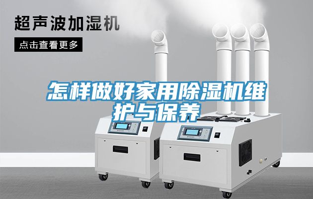 怎样做好家用猫咪成人官网维护与保养