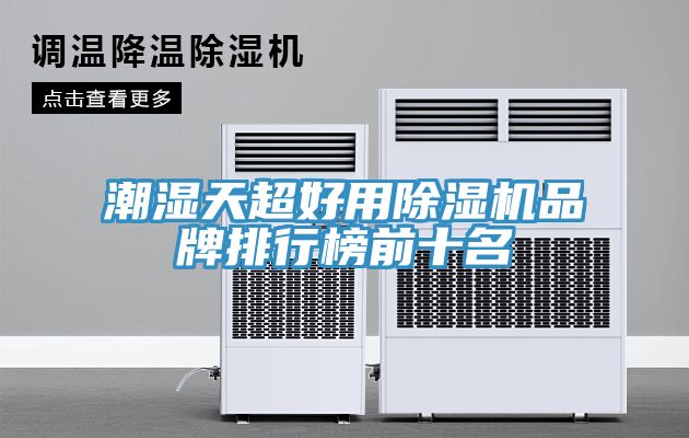 潮湿天超好用猫咪成人官网品牌排行榜前十名