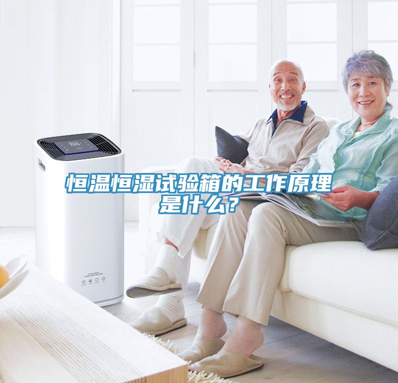 恒温恒湿试验箱的工作原理是什么？