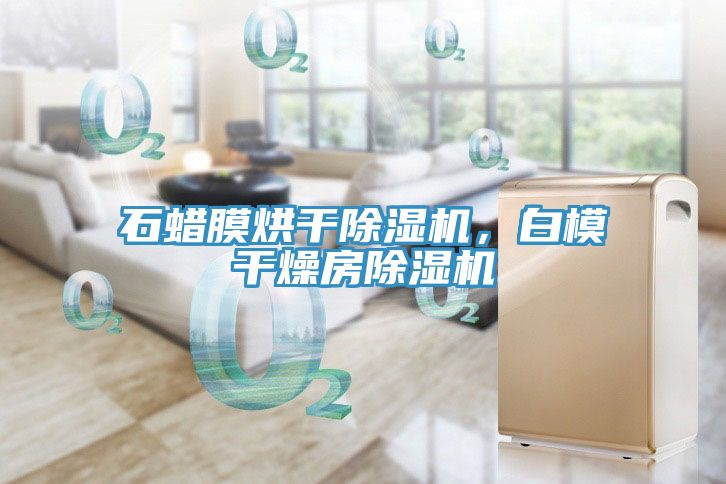 石蜡膜烘干猫咪成人官网，白模干燥房猫咪成人官网