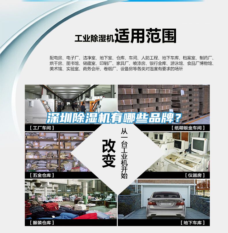 深圳猫咪成人官网有哪些品牌？