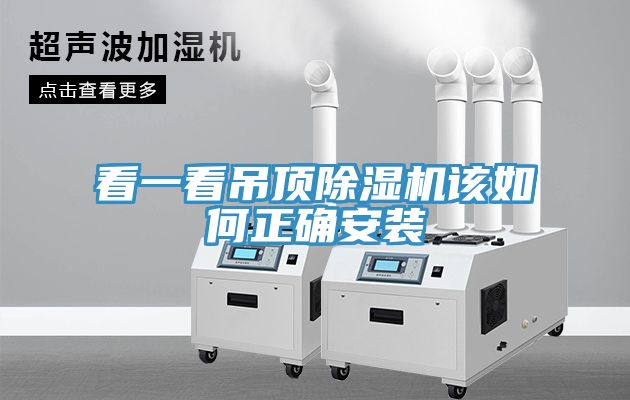 看一看吊顶猫咪成人官网该如何正确安装