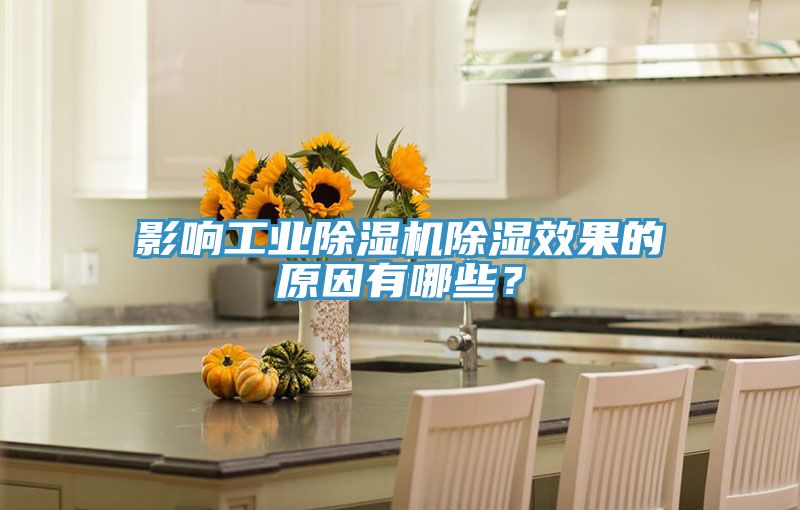 影响工业猫咪成人官网除湿效果的原因有哪些？
