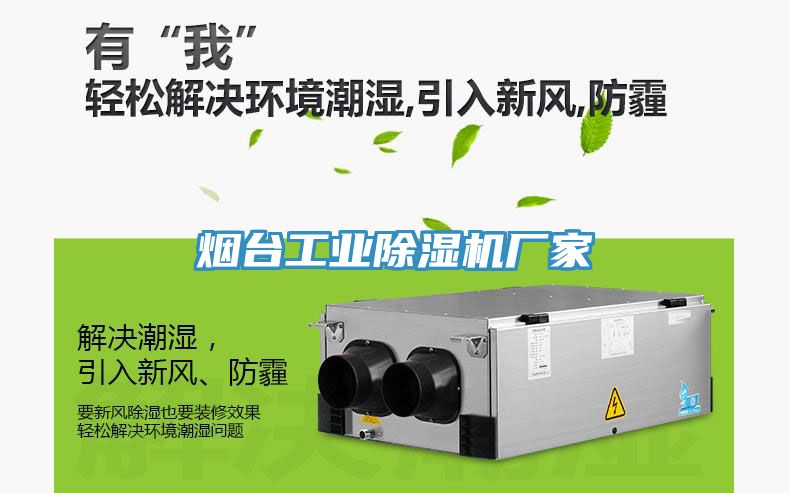 烟台工业猫咪成人官网厂家