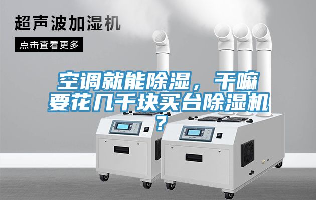 空调就能除湿，干嘛要花几千块买台猫咪成人官网？