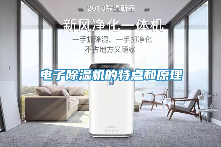 电子猫咪成人官网的特点和原理