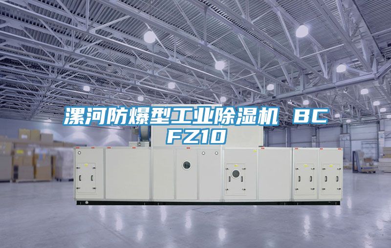 漯河防爆型工业猫咪成人官网 BCFZ10