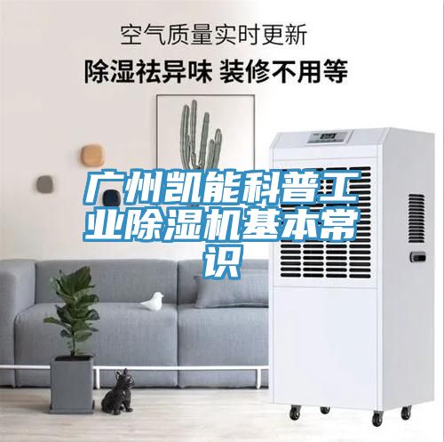 广州凯能科普工业猫咪成人官网基本常识