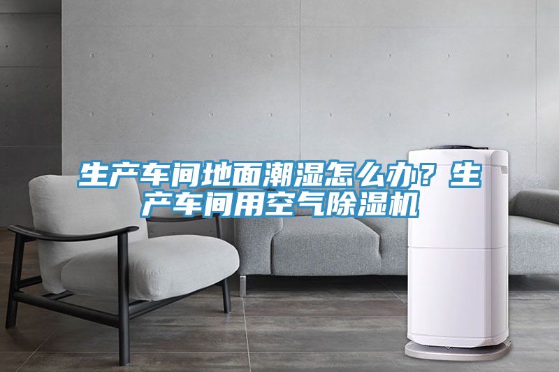 生产车间地面潮湿怎么办？生产车间用空气猫咪成人官网