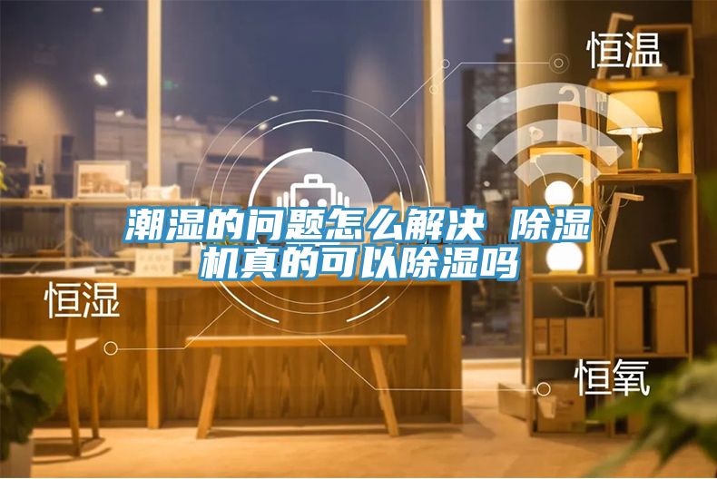 潮湿的问题怎么解决 猫咪成人官网真的可以除湿吗