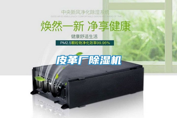 皮革厂猫咪成人官网