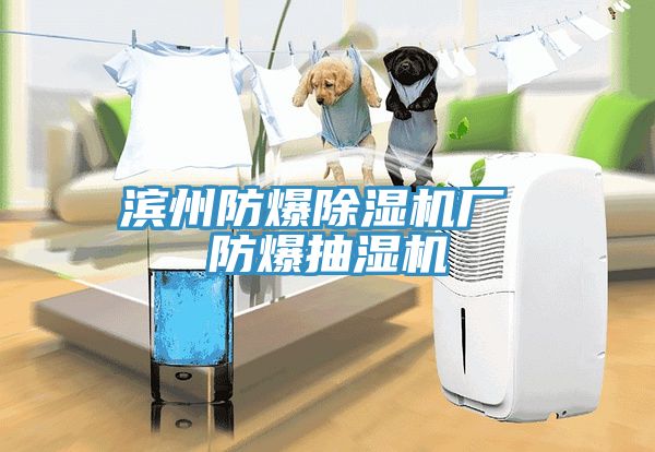 滨州防爆猫咪成人官网厂 防爆抽湿机
