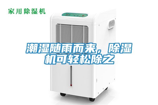 潮湿随雨而来，猫咪成人官网可轻松除之