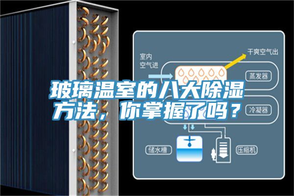 玻璃温室的八大除湿方法，你掌握了吗？