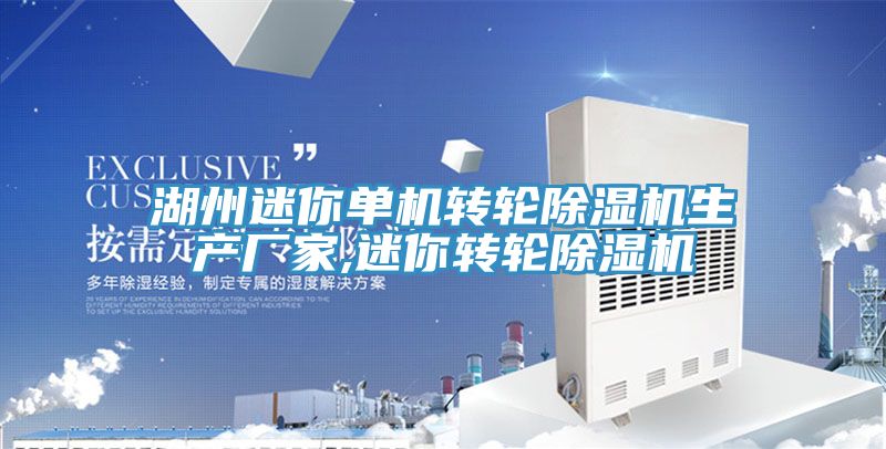 湖州迷你单机转轮猫咪成人官网生产厂家,迷你转轮猫咪成人官网