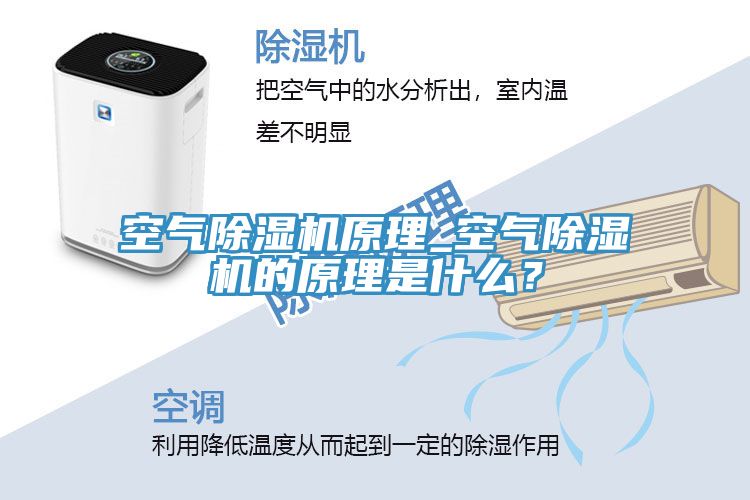 空气猫咪成人官网原理_空气猫咪成人官网的原理是什么？