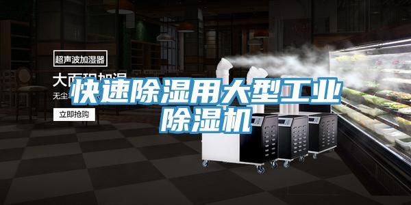 快速除湿用大型工业猫咪成人官网