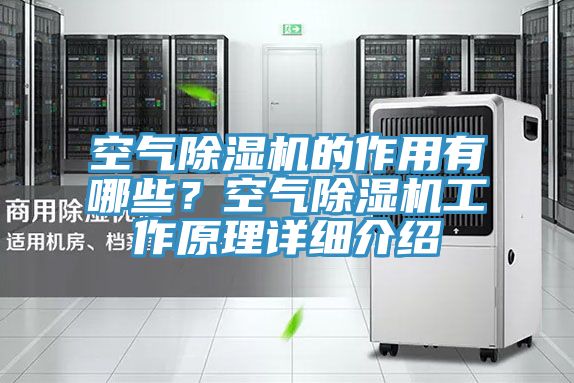 空气猫咪成人官网的作用有哪些？空气猫咪成人官网工作原理详细介绍