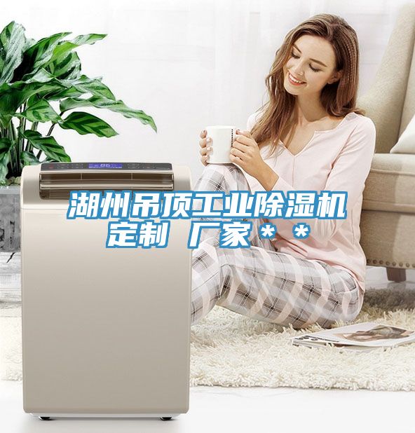 湖州吊顶工业猫咪成人官网定制 厂家＊＊