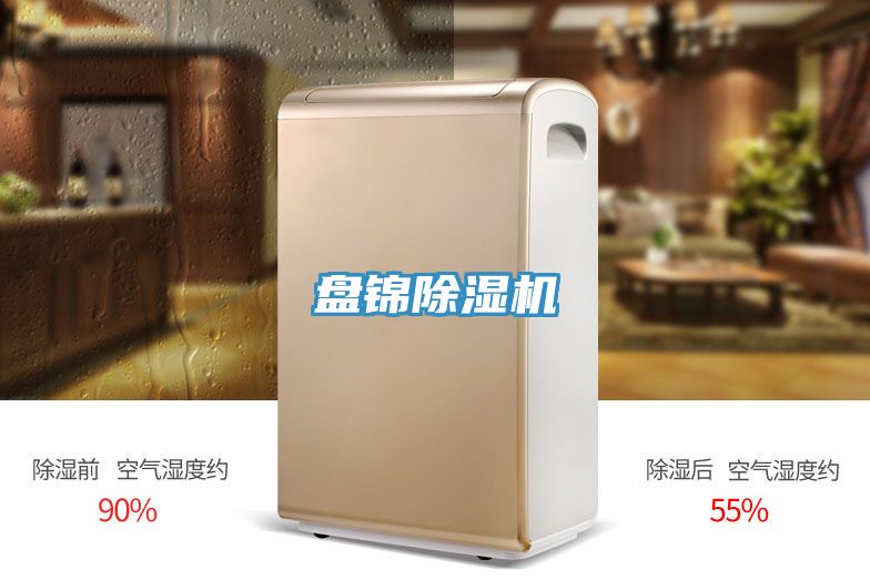 盘锦猫咪成人官网
