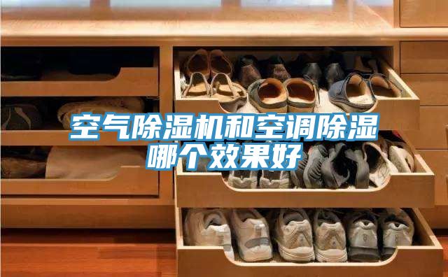 空气猫咪成人官网和空调除湿哪个效果好
