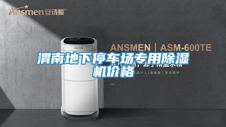 渭南地下停车场专用猫咪成人官网价格