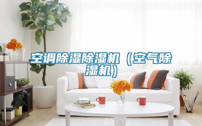 空调除湿猫咪成人官网（空气猫咪成人官网）