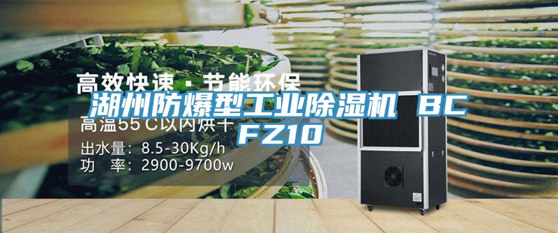 湖州防爆型工业猫咪成人官网 BCFZ10