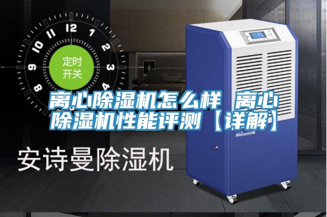离心猫咪成人官网怎么样 离心猫咪成人官网性能评测【详解】