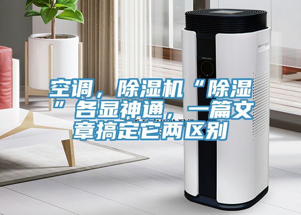 空调，猫咪成人官网“除湿”各显神通，一篇文章搞定它两区别