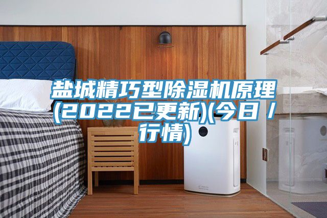盐城精巧型猫咪成人官网原理(2022已更新)(今日／行情)