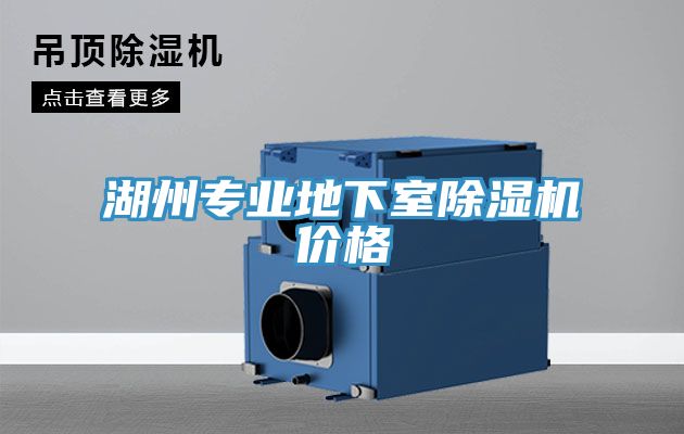 湖州专业地下室猫咪成人官网价格