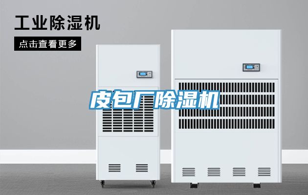皮包厂猫咪成人官网
