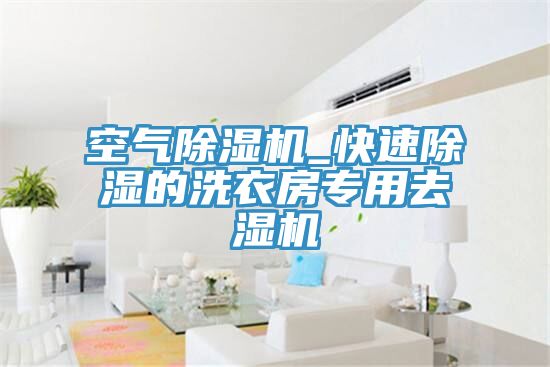 空气猫咪成人官网_快速除湿的洗衣房专用去湿机