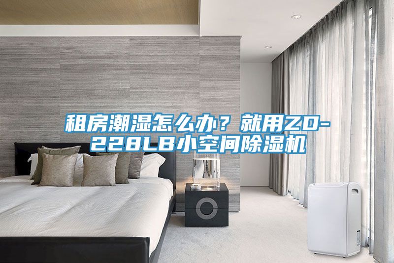租房潮湿怎么办？就用ZD-228LB小空间猫咪成人官网