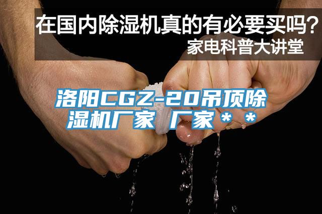 洛阳CGZ-20吊顶猫咪成人官网厂家 厂家＊＊
