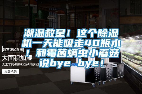 潮湿救星！这个猫咪成人官网一天能吸走40瓶水！和霉菌螨虫小蘑菇说bye bye！
