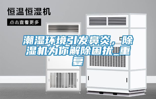 潮湿环境引发鼻炎，猫咪成人官网为你解除困扰_重复