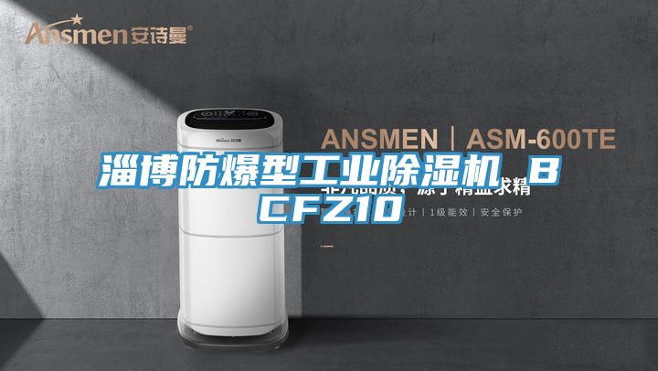 淄博防爆型工业猫咪成人官网 BCFZ10