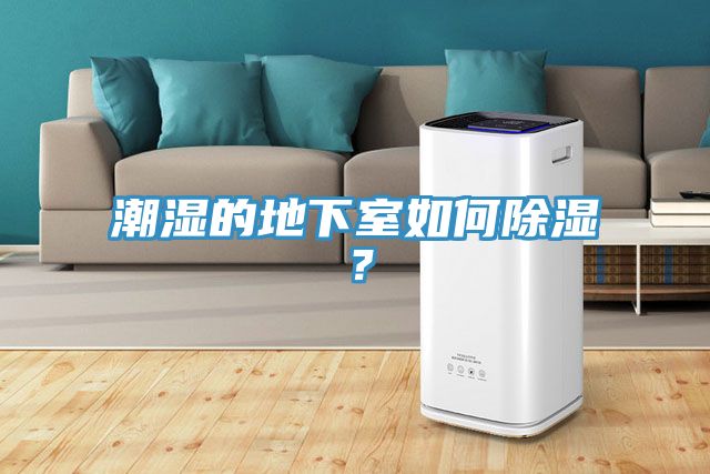 潮湿的地下室如何除湿？